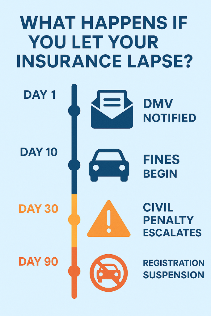 What Happens If You Let Your Insurance Lapse Timeline